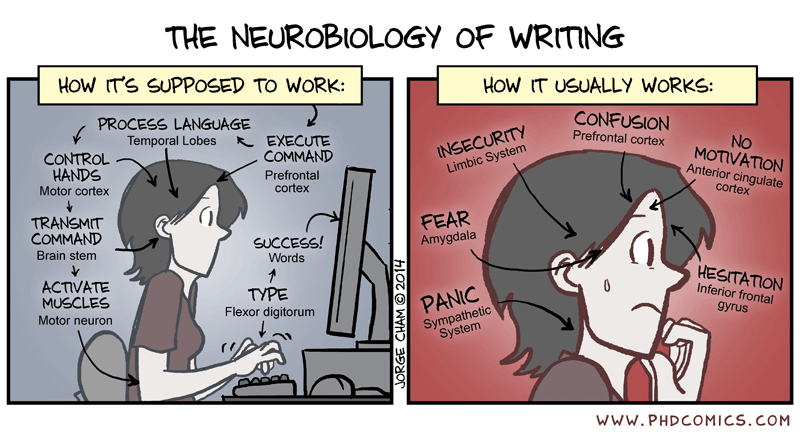 Emotional roller coaster of academic writing